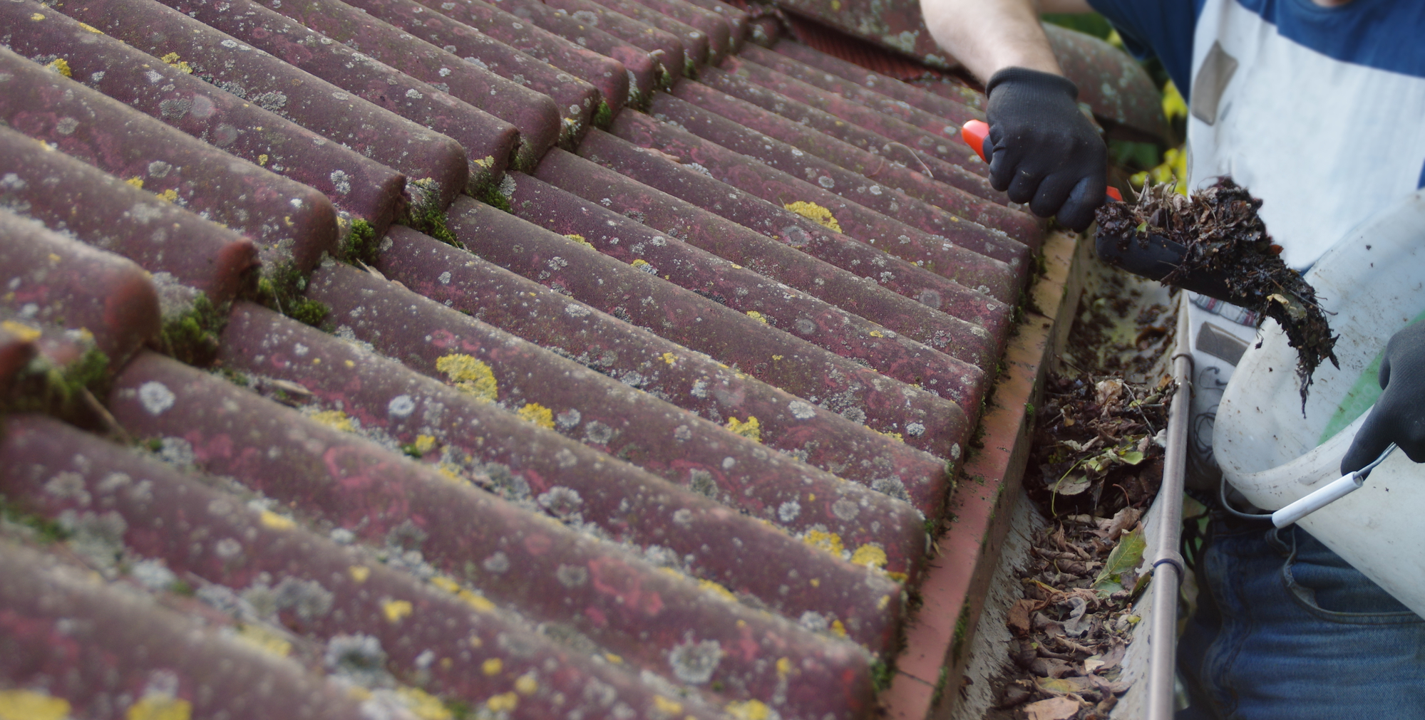 Cleaning roof and gutter