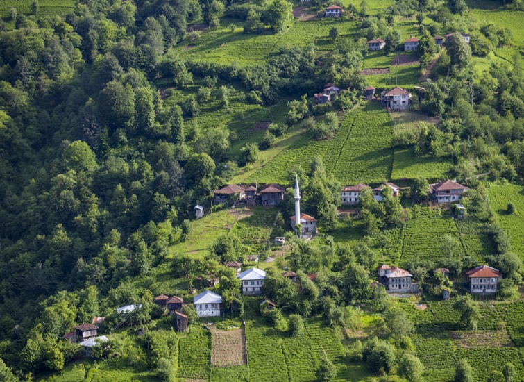 A rural village with scattered houses and a mosque surrounded by lush green hills and farmland.