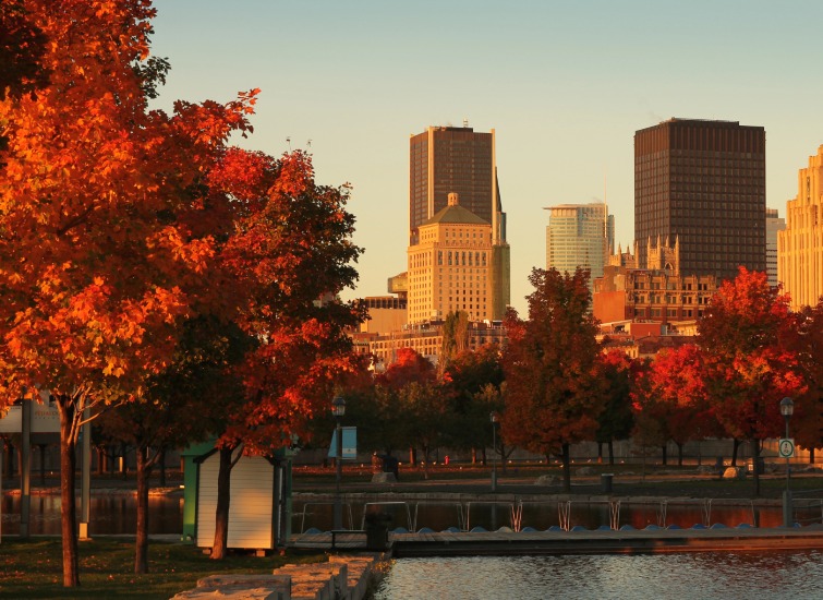 A cityscape in the autumn with buildings in the background and colorful trees reflecting in a waterfront in the foreground.