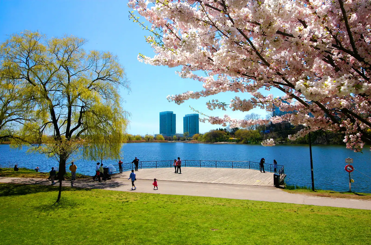 Real Estate In Toronto’s High Park