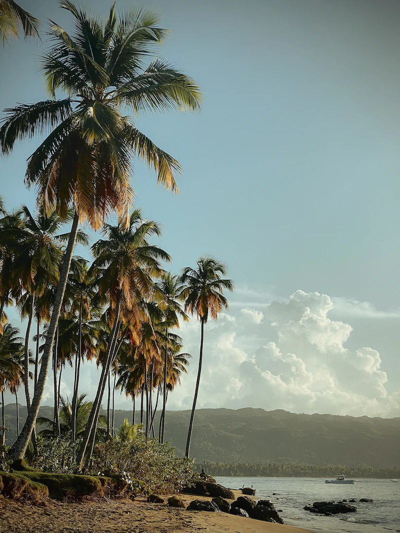 relaxing beach with palm trees in Las Terrenas, Dominican Republic