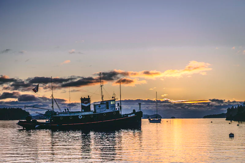 Harbour Island boating community